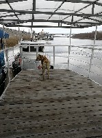 Сдам в аренду помещение объявление но. 1615818: Сдается площадка для пикника на реке "Ока"