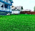 Растения объявление но. 1620676: Жидкий газон AquaGrazz