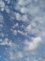 Книга о сумасшедшей любви девушки к женщине. Во время чтения книги создается впечатление, что бумага "горит" от количества вложенных эмоций. Познавательная книга с научным подходом. ...