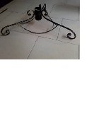 Растения объявление но. 1715674: Елки сосна оптом