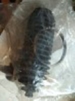 Запчасти, аксессуары объявление но. 1733372: Пыльник рулевой рейки FEBI 22593