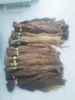 Волосы славянские для наращивания!
В наличии на фабрике волос имеются:
- волосы славянские не окрашенные
- волосы славянские окрашенные
- волосы люкс
Для получения информации можете перейти к нам ...