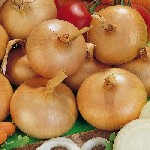 Растения объявление но. 1735382: Репчатый лук