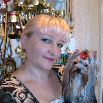 В нашем питомнике Вы можете приобрести перспективного щенка для выставок и племенного использования или собаку «для души». Стоимость щенков питомника определяется в каждом конкретном случае индивидуал ...