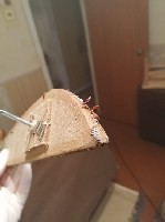 Уборка объявление но. 1748987: Обработка от клопов в Орехово-Зуево. Служба СЄС. Уничтожение за 30 минут! Гарантия 6 месяцев!