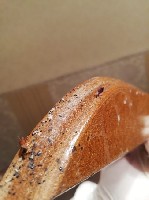 Уборка объявление но. 1748987: Обработка от клопов в Орехово-Зуево. Служба СЄС. Уничтожение за 30 минут! Гарантия 6 месяцев!