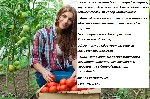 Производство объявление но. 1771384: Овощевод