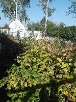 Продам дом объявление но. 1792915: Продается дом для постоянного проживания 81,5 м2 на участке 29 соток, Пензенская обл., с. Вадинск