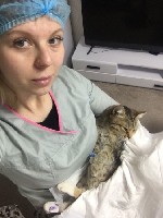 Широкий спектр ветеринарных услуг, на дому.
Стоматология
Терапия
Хирургия
Акушерство
Исследования
Анализы
УЗИ ( в условиях стационара)

Опыт, гуманность, ответственность. ...