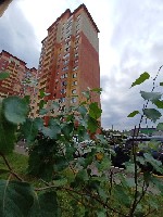 Продается 1 ком.квартира по адресу:
МО, Раменский городской округ, Островцы деревня,
Новые Островцы микрорайон,
ул. Баулинская, 5к1.
Продажа свободная.
Прописанных нет.
Никто не проживает.
Доку ...