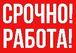 Удаленная работа, работа на дому объявление но. 1848266: Подработка для девушек