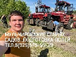 Строительные услуги объявление но. 1873858: Услуги/Аренда Мульчера. Комплексная расчистка с/х полей. Валка леса. Мульчер бульдозер ООО «Кочевник»