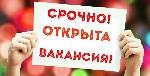 Требуются удаленные сотрудники для оказания рекламных услуг.
График работы свободный.
Оплата сдельная.
Можно совмещать с текущей работой,декретом,учебой.
2-3 часа в день,по желанию.
Опыт не требу ...
