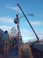 Растения объявление но. 1912526: Озеленение городских территорий