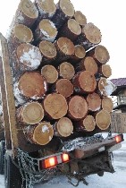 Куплю Экспортник, Пиловочник лиственницы 1-2 сорт от 30 до 36 мм. С места. От 6500 руб. ...