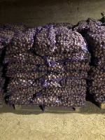 Продукты питания объявление но. 1966604: Картофель семенной от производителя. Сорт Гала.