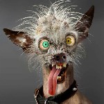 В нашем сообществе вы найдете море юмора, огромное количество прикольных картинок, интересных фотографий и занимательных фактов и много другое! ...