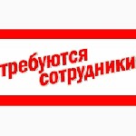 Подработка на дому менеджером (удалённо). Работа с партнёрами, проведение собеседований в формате переписки, размещение рекламы. Возраст от 22 лет, образование значения не имеет, опыт работы не требуе ...