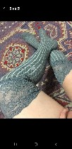 Женское бельё объявление но. 2181486: Продам чулки, колготки для любителей фетиша
