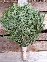 Разное объявление но. 2277139: Веники для бани оптом и в розницу