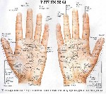 Тестирование организма по точкам акупунктуры на ладони. Бесплатная консультация биокорректора.

https://www.instagram.com/hel.en5348/ ...