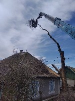 Производим спиливание и подрезку деревьев в городе Одесса и прилегающих районах.
От одной ветки до любого количества деревьев.
Собственная база всей техники которая не подводит и всегда приезжает во ...