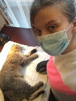 Опытный ветеринар.  Тщательный осмотр перед операцией.  Щадящий наркоз в комбинации с местной анестезией.  После операции антибиотик,  снятие швов и обработки не требуются.  Заживление в течении 10 дн ...