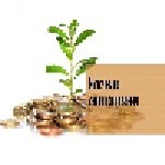 Торговое и инвестиционное финансирование импортеров/экспортеров и других заемщиков от ряда иностранных банков и небанковских финансовых организаций.  

 Мы специализируемся на краткосрочном финансир ...