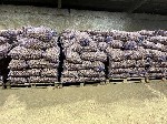 Продукты питания объявление но. 2427022: Картофель 2 сорт.  Подходит для бюджета.  Макеево