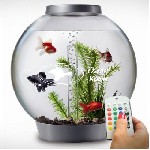 Фирменный интернет магазина немецкой марки OASE на территории Крыма.  Авторизованный дистрибьютор компании ГОЛЬФСТРИМ.  Мы предоставляем полный комплекс оборудования для прудов и водоемов с гарантией  ...