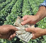 Привет,  

Мы предоставляем вам помощь,  необходимую для решения финансовой проблемы,  благодаря нашим международным кредитным предложениям.  Процентная ставка 3% с быстрым рассмотрением вашего запр ...