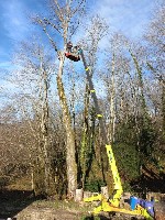 Ремонт, строительство объявление но. 2441138: Услуги малогабаритного крана в Сочи
