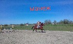 Продажа недвижимости объявление но. 2460229: Продам готовую конюшню