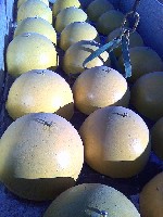 Строительные материалы объявление но. 2465740: Полусфера бетонная в Нефтеюганске,  Тюмени,  Сургуте,  Ханты-Мансийске,  Нижневартовске,  Тобольске,  Увате