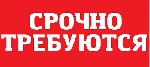 Требуются электрики!
На постоянную работу на севере Израиля:  Хайфа,  Краёт и Кармиель.  
Требуются электрики и помощники электрика.  
Хорошие условия для подходящих,  есть подвозки.  
Полный соци ...