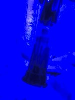 Разное объявление но. 2594279: Всё good!уже зазнаваться начал ,  окажу любую услугу в интиме