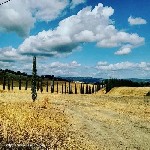 Загородная недвижимость объявление но. 2600709: Удивительной красоты фермерский дом со всеми удобствами