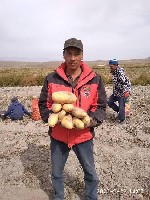 Разное объявление но. 2608991: СИЛА КРЕМНИЯ - Бренд №1 среди удобрений на основе кремния