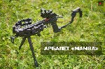 Спортинвентарь объявление но. 2621289: Арбалет-пистолет Bearhunter Mamba