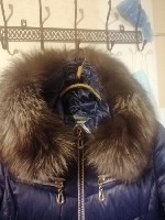 Верхняя одежда объявление но. 2633383: Пуховик