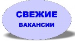 Открыта вакансия на должность директора интернет-магазина.  Можно без опыта работы.  Обучение предоставляется он-лайн бесплатно в процессе работы.  
Обязанности :  подбор персонала,  проведение собес ...