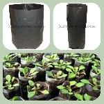 Ціни і фото на сайті відповідають дійсності! 
Пакети для розсади різних розмірів та об’ємів з поліетиленової плівки.  Світлонепроникнені,  колір - чорний.  Розміри і об’єми:  7,5*15 (0,5л.  ),  11*16 ...