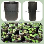 Растения объявление но. 2644843: Пакети світлонепроникні для саджанців різних обсягів