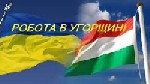 Разное объявление но. 2670779: Робота в Угорщині.  Робота в Європі.  Работа в Венгрии.  Работа в Евpoпе