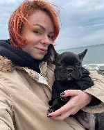 Прекрасные щенки французского бульдога кобели и суки полностью привиты,  проглистованы и чипированы,  готовы к переезду в свои дома навсегда (щенки используют коврики для приучения к туалету в данный  ...