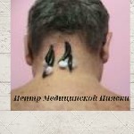 Центр Медицинской Пиявки осуществляет продажу пиявки оптом. ...