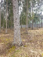 Продам участок объявление но. 2691475: Продажа участка