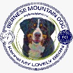 У нас в питомнике содержатся собаки породы бернский зенненхунд,  все они имеют хорошую репутацию,  являются призерами соревнований и дают здоровое потомство.  Щенок из нашего питомника "MY LOVELY BERN ...