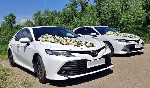 Отвезем в ЗАГС с любовью и комфортом!

Красивые машины на свадьбу легковые,  джипы,  седаны,  микроавтобусы (Mercedes,  Lexus,  Toyota,  Kia и другие иномарки).  

Украшаем свадебные машины в любо ...