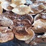 Реализуем мухомор пантерный и красный
 1).  Мухомор пантерный высший сорт чистый,  каждый протирали.  Цена -  25 000руб.  за 1 кг.  
 2).  Мухомор пантерный 2 сорт.  Цена 23 000руб.  за 1 кг.  
 3) ...